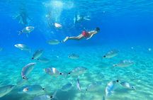 Cala Pregonda and Menorca's Northern Coast boat excursion