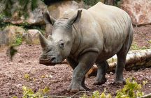 Day ticket for Paignton Zoo on the English Riviera