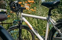 Guided bike tour of Bologna's hidden gems