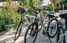 Guided bike tour of Bologna's hidden gems