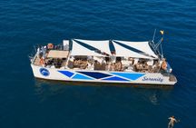 Dolphin watching shared catamaran tour in Benalmádena
