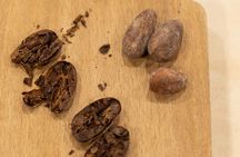 Bean to bar chocolate making masterclass