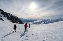 Guided small group snowshoe hike in Tromsø