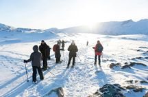 Guided small group snowshoe hike in Tromsø
