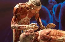 BODY WORLDS & The Cycle of Life exhibition in Kempten