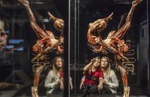 BODY WORLDS & The Cycle of Life exhibition in Kempten