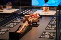 BODY WORLDS & The Cycle of Life exhibition in Kempten