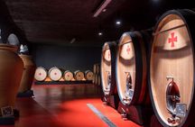 Commanderie de Peyrassol vineyard and history guided tour in English