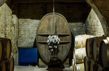 Commanderie de Peyrassol vineyard and history guided tour in English