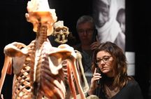 BODY WORLDS & The Cycle of Life exhibition in Kempten