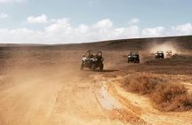 Lanzarote buggy north tour – ticket only