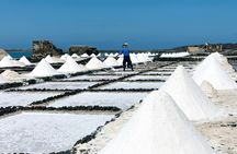 Salinas de Janubio Salt Flats Ticket