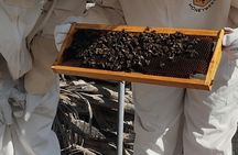 Beekeeping tour with honey tasting in Lanzarote