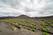Three-hour 4x4 buggy tour in Lanzarote