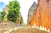 Liège city highlights walking tour with a local