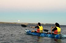 Lanzarote Kayaking & Snorkelling Ticket