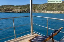 Palma Bay premium catamaran with dinner, swim and optional VIP area