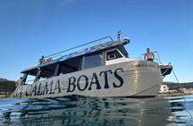 Sunset boat tour Andratx and Dragonera with snorkel