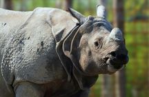 Eindhoven Zoo admission ticket