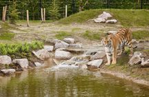 Eindhoven Zoo admission ticket