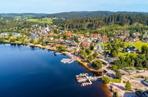 Black Forest day trip from Basel with Lake Titisee and St. Blasien