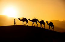 2-day excursion from Agadir to Zagora Sahara Desert