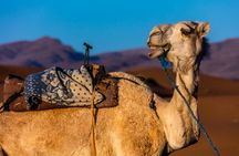 Two-day Sahara Desert Experience with overnight Berber tent experience