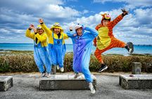 Tickets for Okinawa Street Go Karting