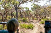 Fathala Wildlife Reserve full-day tour