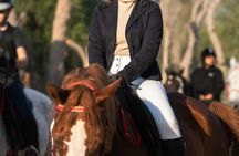 Horseback ride through Dubai desert park