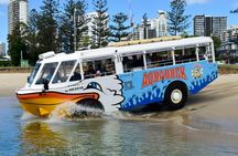Aquaduck city and river tour