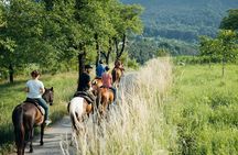 Horse ride experience through the Brenta Dolomites
