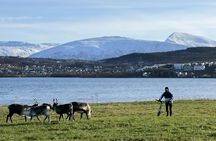 Arctic guided bike adventure from Tromsø