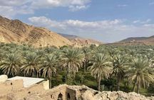 Private tour to Nizwa and to the oasis of Birkat Al Mouz from Muscat with lunch