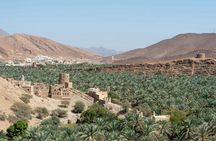 Private tour to Nizwa and to the oasis of Birkat Al Mouz from Muscat with lunch