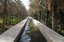 Private tour to Nizwa and to the oasis of Birkat Al Mouz from Muscat with lunch