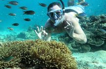 Krabi private morning 4-island breakfast cruise
