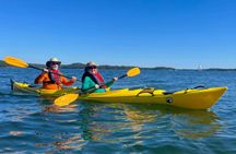 Stockholm Archipelago Kayak Tour with Lunch Meal
