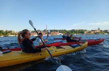 Stockholm City Daytime Kayak Tour