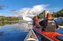 Stockholm City Daytime Kayak Tour