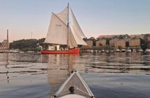 Guided sunset kayak eco-tour in Stockholm City