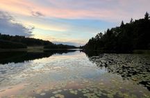 Stockholm: Sunset Hike in Tyresta National Park with Meal
