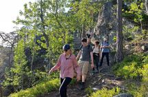 Stockholm: Sunset Hike in Tyresta National Park with Meal