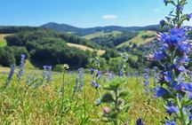 Mörlenbach hiking tour in the Odenwald with scenic views