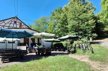 Mörlenbach hiking tour in the Odenwald with scenic views