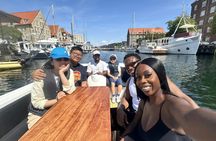 Luxury guided boat tour in Copenhagen