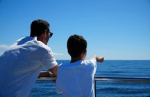 Vilamoura dolphins and Benagil caves catamaran cruise