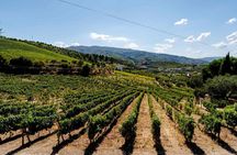 Exclusive Douro Valley lunch with estate wine pairings