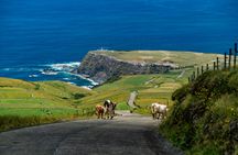 3-Day Flores Island escape in Fajã Grande