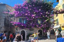 Sirmione 4-hour guided boat cruise from Garda-Bardolino